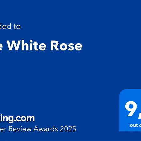 Daire The White Rose